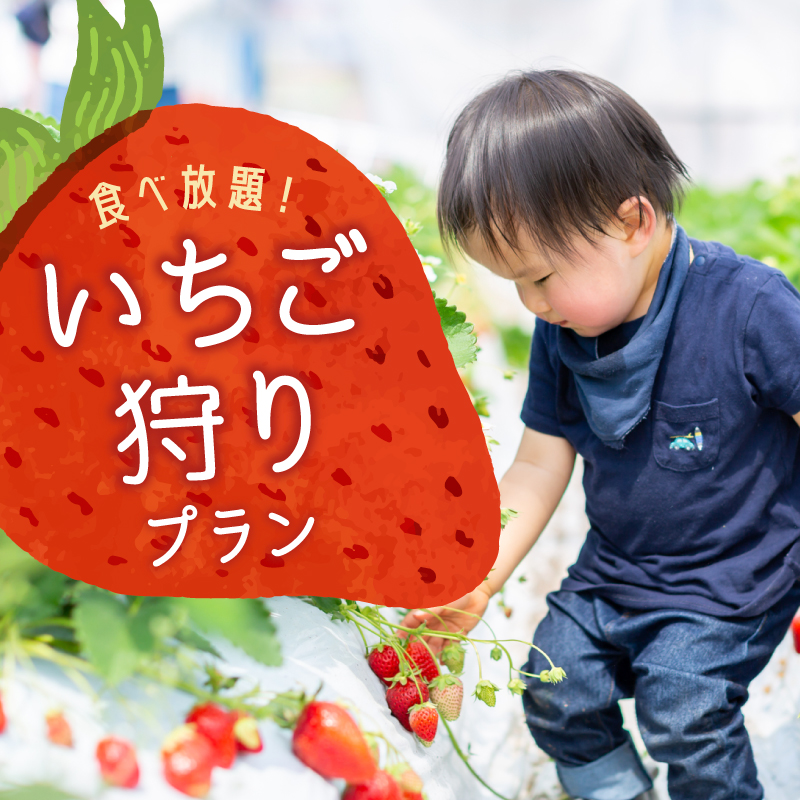 【いちご狩り／プレミアムBBQ】季節限定いちご狩りプラン！（1泊2食付き+翌日のアクティビティ）