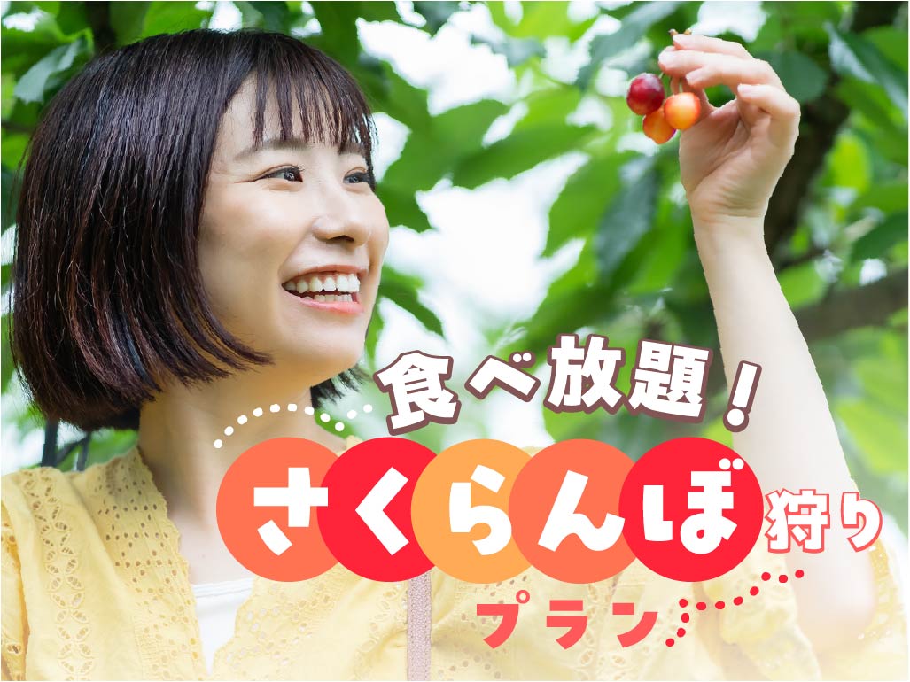 さくらんぼ狩り（6月平日限定）