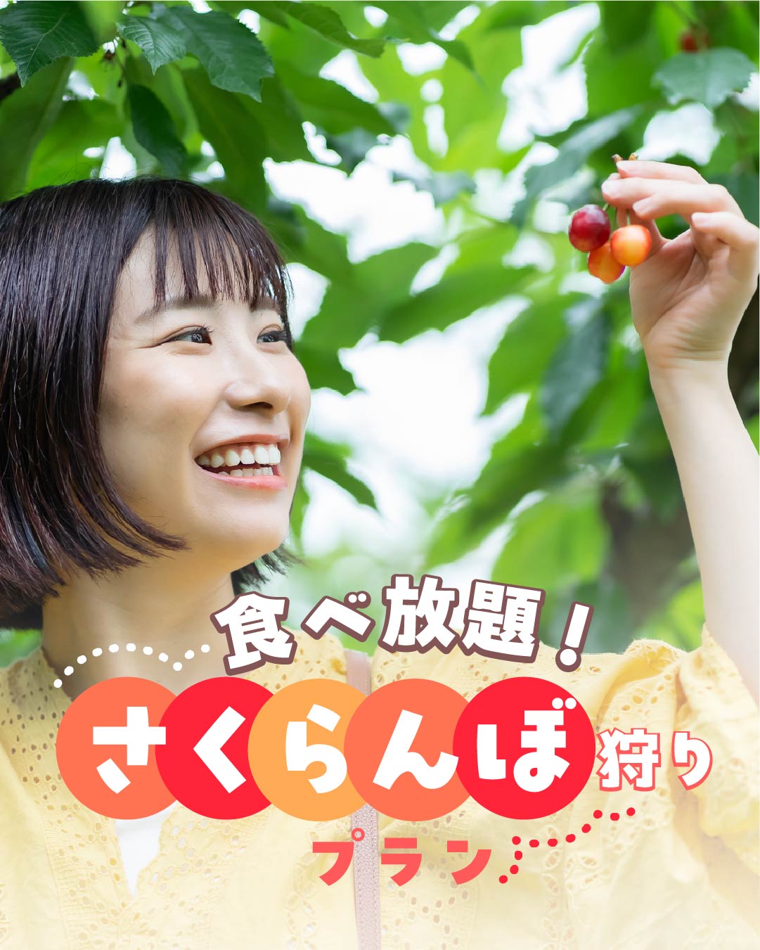 さくらんぼ狩り（6月平日限定）